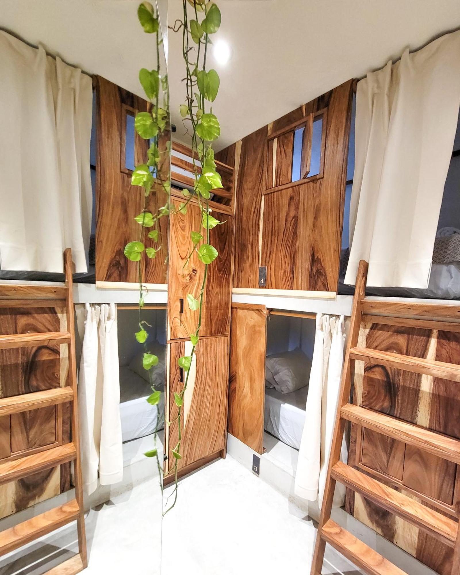 Caracola Boutique Hostel El Paredón Buena Vista Eksteriør billede